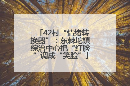 42村“情绪转换器”：东棘坨镇综治中心把“红脸”调成“笑脸”