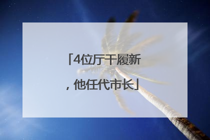 4位厅干履新，他任代市长