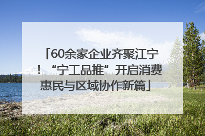60余家企业齐聚江宁！“宁工品推”开启消费惠民与区域协作新篇