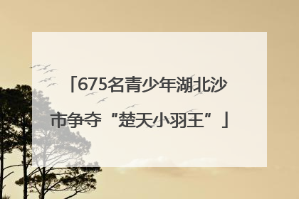 675名青少年湖北沙市争夺“楚天小羽王”