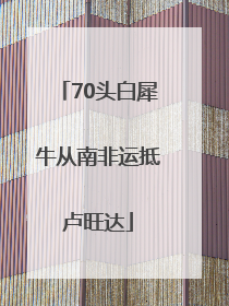 70头白犀牛从南非运抵卢旺达