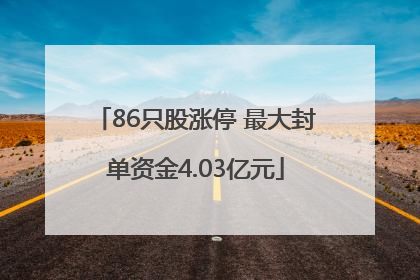 86只股涨停 最大封单资金4.03亿元