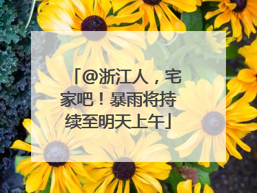 @浙江人，宅家吧！暴雨将持续至明天上午