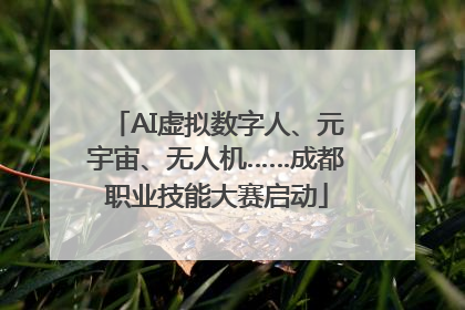AI虚拟数字人、元宇宙、无人机……成都职业技能大赛启动