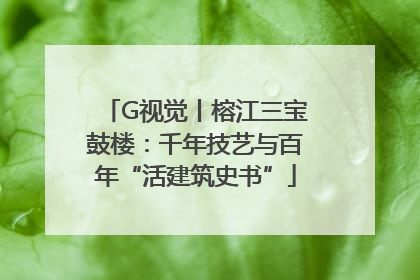 G视觉丨榕江三宝鼓楼：千年技艺与百年“活建筑史书”