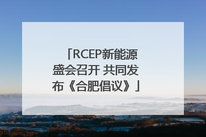 RCEP新能源盛会召开 共同发布《合肥倡议》