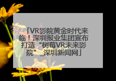 VR影院黄金时代来临！深圳报业集团宣布打造“树莓VR未来影院”_深圳新闻网